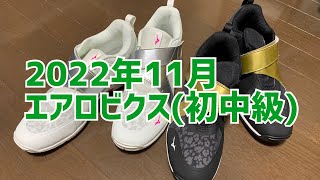 2022年11月エアロビクス(初中級)