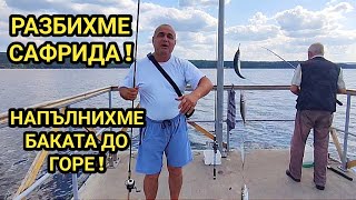 Най-добрият ми риболов на сафрид! Рибата направо полудя! Пълни чепарета и препълнени баки с риба!!!