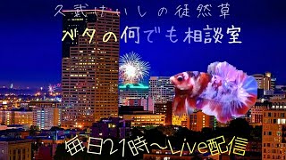 BETTER LIFE WITH BETTA！【ベタの何でも相談室】2020年8月27日