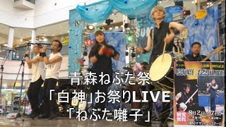 青森ねぶた祭　「白神」（和洋構成ユニット）のお祭りライブ、曲は「ねぶた囃子」（2022年8月3日サンロード青森にて）