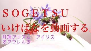 丹頂アリアムを編む。sogetsu ikebana arrangement No.232