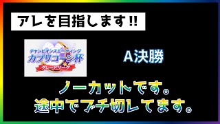 【ウマ娘】　カプリコーン杯　A決勝