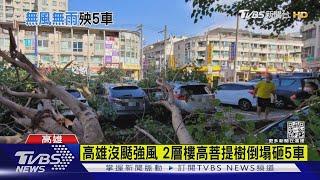 高雄沒颳強風 2層樓高菩提樹轟然倒塌砸5車｜TVBS新聞