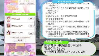 【継続は力】ウマ娘距離脚質別因子作りの旅【794日目】