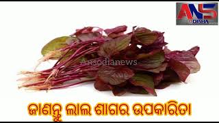 ଜାଣନ୍ତୁ ଲାଲ ଶାଗର ଉପକାରିତା || #ansodia