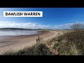 Searching for sand lizards at Dawlish Warren - Nature Diaries