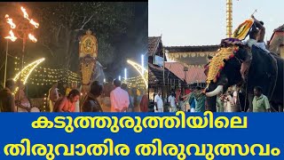 കടുത്തുരുത്തി തളിയിൽ ശ്രീ മഹാദേവ ക്ഷേത്രം | തിരുവാതിര തിരുവുത്സവം