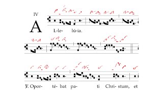 Alleluia: Oportebat pati Christum