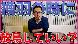 【鳥】換羽期になるとよく放鳥を控えるようにと言われますが、本人は外に出たがります。我慢させた方がいいでしょうか。また、換羽期などに追加で与えた方が良い餌はありますか？＃342