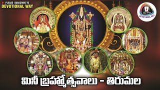 మినీ బ్రహ్మోత్సవాలు తిరుమల// RADHASAPTHAMI // TIRUMALA // DEVOTIONALWAY