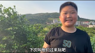 姐弟俩和小胖拔花生比赛，弟弟为了赢奖品快速干，姐弟俩太开心了