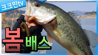 A fishing trip in search of a largemouth bass