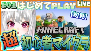 【Minecraft】超初心者がサバイバル生活!!!!!【個人勢新人声優Vtuber／空狐美紀／くうこみき】