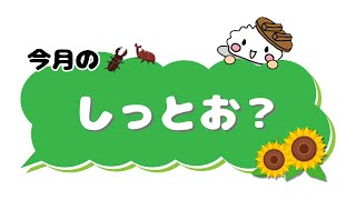 本家かまどや【公式】2024年8月おすすめ新商品「しっとお？」