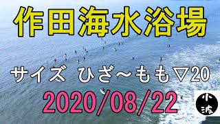 2020年8月22日 作田海水浴場サーフィン　小波でも140名【ひざもも▽20】