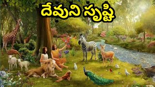 దేవుని సృష్టి  || Bible stories vav