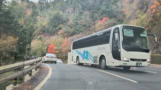 [車載動画]  高野山 伊都郡高野町 和歌山県  | Mount Koya, Koyacho, Ito District, Wakayama   | Driving Japan