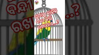 କୋଇଲି ସ୍ଵାଧୀନ କିନ୍ତୁ ଶୁଆ | New motivational video | odia motivational | M to thinking