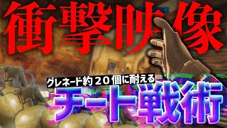 【衝撃映像】グレネードを20個くらい投げても倒れないチート戦術【R6S】