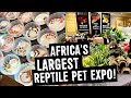 REPTILE PET EXPO: LARGEST IN AFRICA 2022!