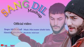 SANG DIL HA YAARO ! FT THE TARIQ........ LOFI SLOWED AND REVERB NEW KASHMIRI song LYRIC 2024...