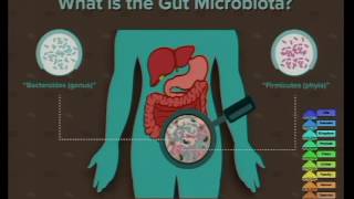 “Microbiota-Gut-Brain Axis and Mental Health”