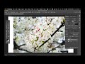 글자 안에 꽃이 클리핑 마스크 clipping mask 알아보기