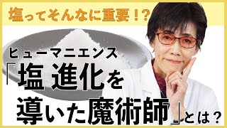 塩って重要！？ヒューマニエンス「塩、進化を導いた魔術師」とは