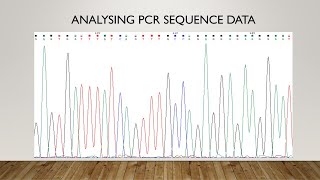 Processing PCR sequence reads (.AB1 files)