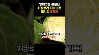 양배추를 활용한 저칼로리 다이어트 레시피 5가지🥗