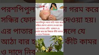 পরশপিপুল গাছের ঔষধি গুণ গুলি আপনি কি জানেন??(গল্প) #medicinal #short #viral #golpo