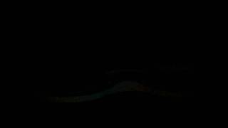 SAM_0110.AVI