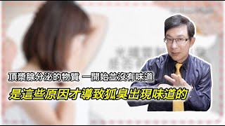 狐臭原來不臭，是這個原因造成狐臭的？｜遠古人類越狐臭越有魅力？|治療狐臭最好的方法是哪個？