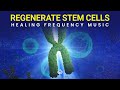 Stem Cell Regeneration Frequency: Heal Your Telomeres, Healing Frequency