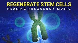 Stem Cell Regeneration Frequency: Heal Your Telomeres, Healing Frequency