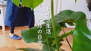 [暮らしvlog] 家での心地よい暮らし/ひとりご飯/ドイツの街中の様子