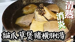 【清熱解毒｜散結止痛】貓爪草煲豬橫脷湯/ Pork Pancreas with Ranunculus ternatus soup｜沙先生料理