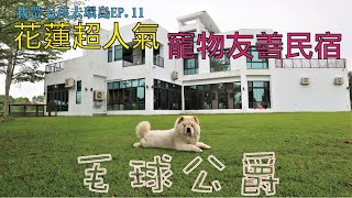 【我帶毛孩去環島EP.11】毛球公爵 花蓮超人氣寵物友善民宿