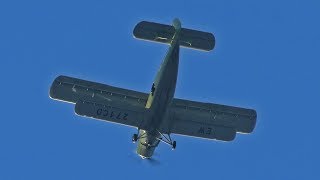 Ан-2 EW-271CD над Брестом