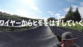 【#わさび栽培】寒冷紗をしまう作業