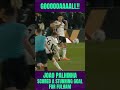 Joao Palhinha scored a STUNNING GOAL for FULHAM!!! ⚽⚽