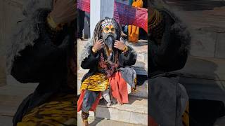 Aghori baba shiv bhakti Aradhana #bholenath #aghori #trendingmusic #shortsfeed #devotional #ytshorts