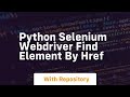 python selenium webdriver find element by href