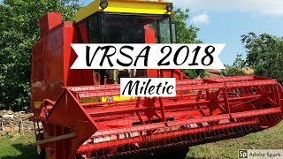 VRSA PSENICE ZMAJ 142 RM-SECKA SLAME/MAJUR JAGODINA\\WHEAT HARVEST SERBIA