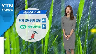 [날씨] 곳곳에 소나기...비의 양은 많지 않아 / YTN