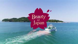 【4K】Beauty of JAPANパン屋のジャックが見た大島