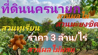 EP288.สวนผลไม้ สวนผสม  ที่ดินวิวเขา ที่ดินเขาเพิ่ม ที่ดินนครนายก สนใจติดต่อ0870987939,0887902134