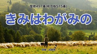 聖歌497「きみはわがみの」