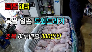 복날 1탄!! 초복날 일손 도와드리기