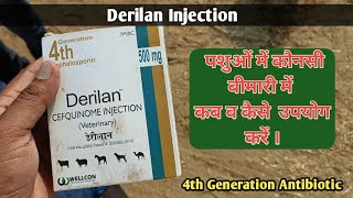 Derilan (Cefquinome) Injection Use in cattle! 4th Generation Antibiotic use#petvettown